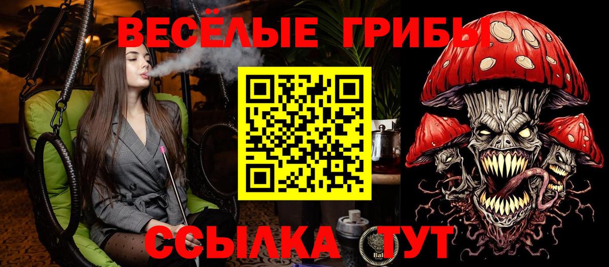 Галлюциногенные грибы Magic Shrooms Кемерово