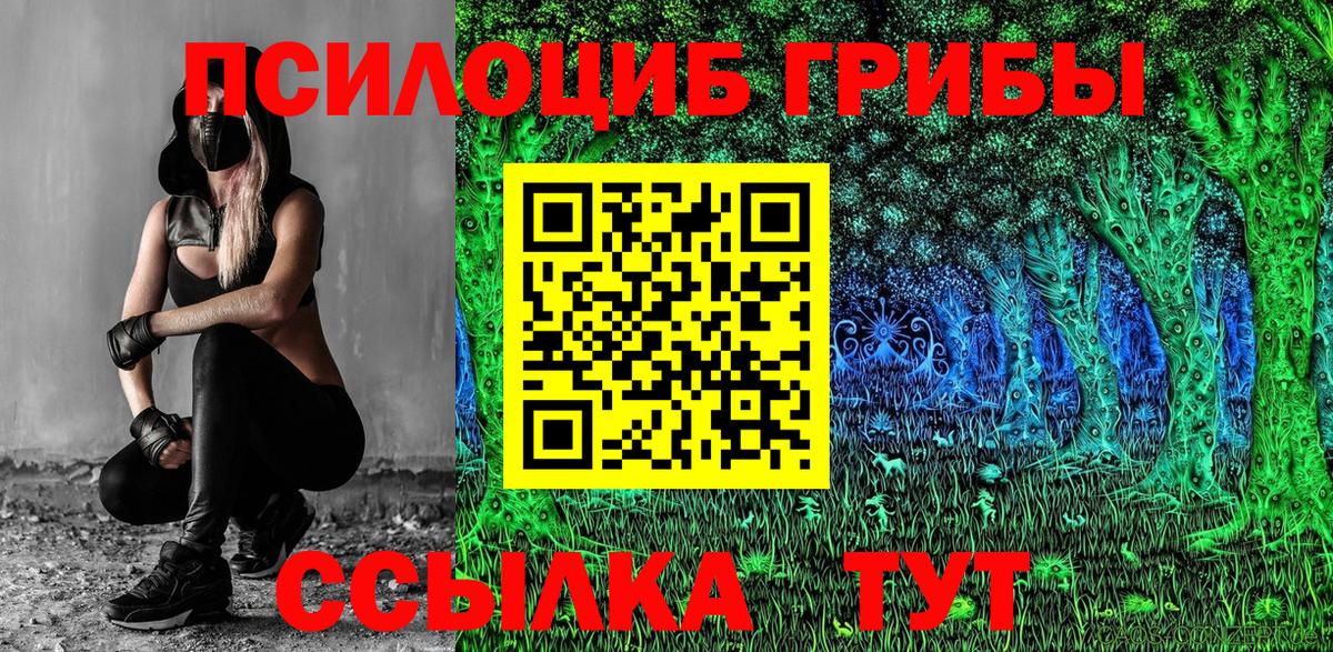 Кемерово  купить   Вход с VPN  Галлюциногенные грибы Cubensis 